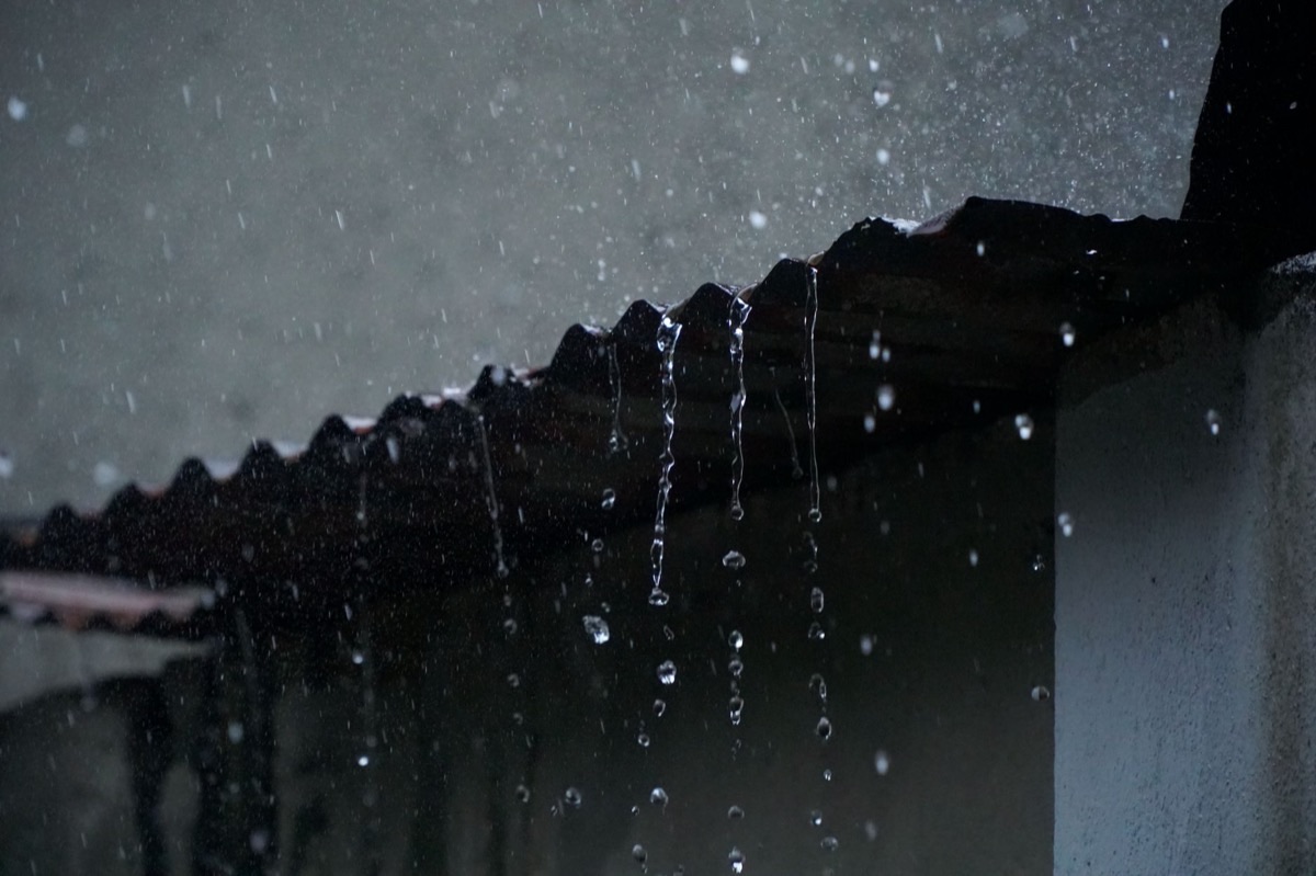 Récupérateur d'eau de pluie : installation et usages domestiques