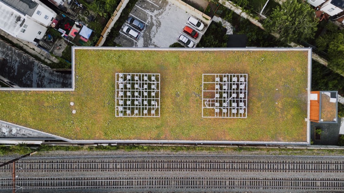 Toiture-terrasse végétalisée : avantages, contraintes, entretien